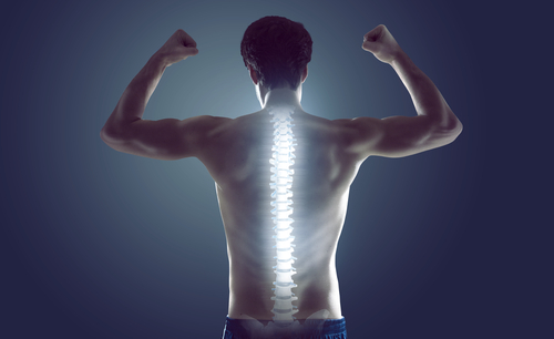 Healthy Spine