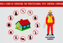 Pros and Cons of Choosing the Professional Pest Control Company