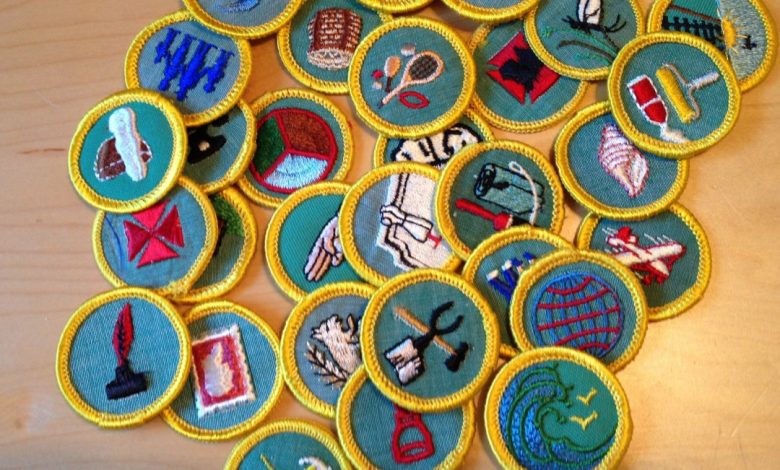 4 Advantages of Badges in Education which you cannot afford to ignore