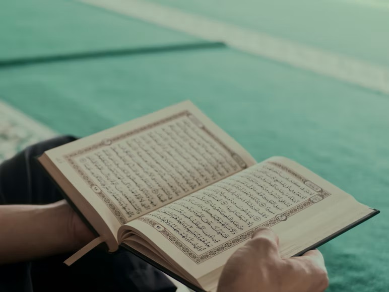 learn quran online with tajweed