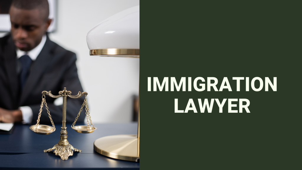 Immigration lawyer