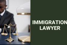 Immigration lawyer