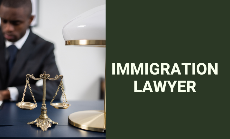 Immigration lawyer