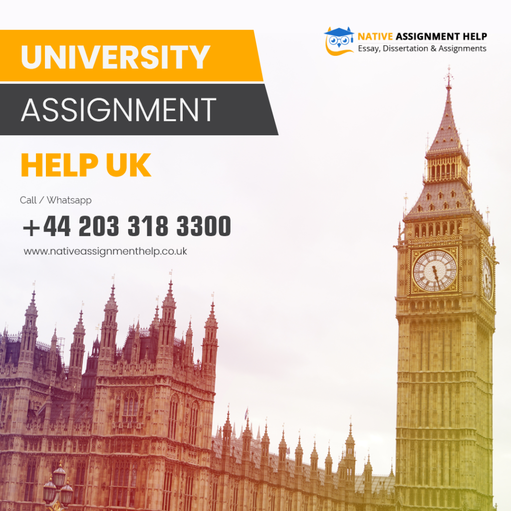 University Assignment Help