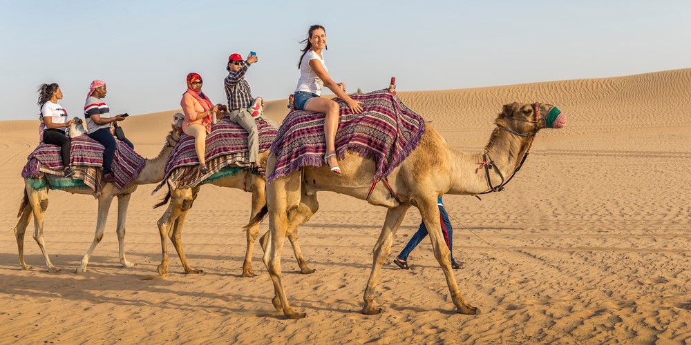 Camel Ride In Dubai